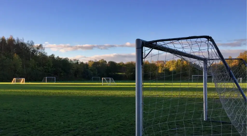 grama para campo de futebol