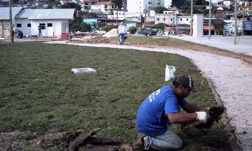 Corte de grama
